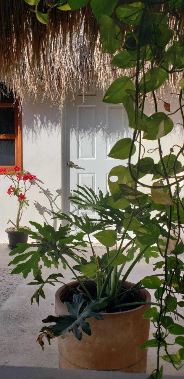Poza Clara Sanctuary Hotel Bacalar Bagian luar foto